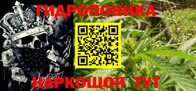 стаф Тара