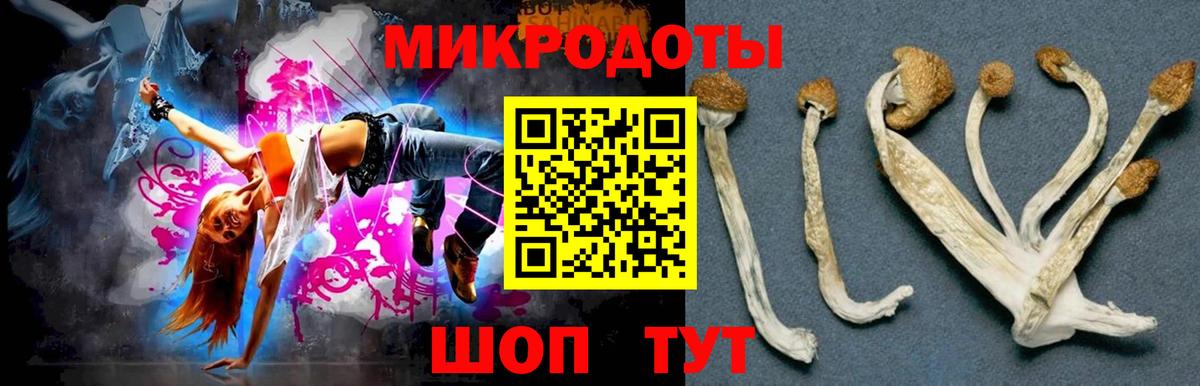 Галлюциногенные грибы GOLDEN TEACHER Янаул